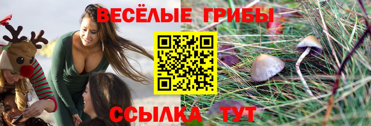 Лыткарино  Галлюциногенные грибы Magic Shrooms  Вход с VPN 